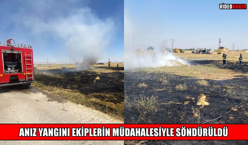 Muş’ta anız yangını paniği!