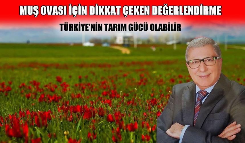 Yazar Talha Apak: Muş, çok daha yüksek katma değer üretebilir