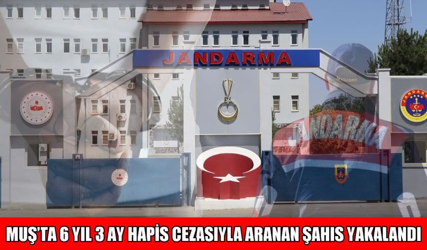 Muş’ta 6 yıl hapis cezasıyla aranan firari yakalandı