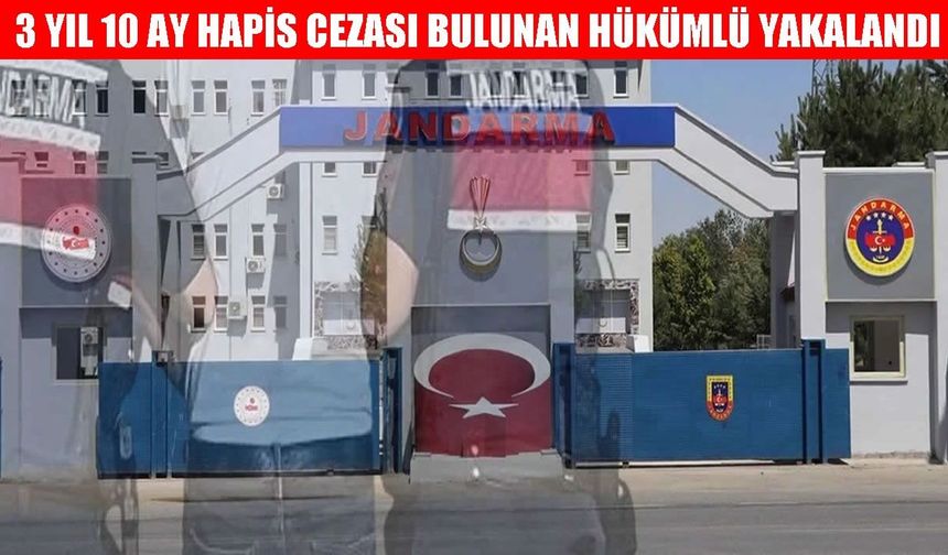 Muş’ta firari hükümlü operasyonu: Saklandığı adreste yakalandı!
