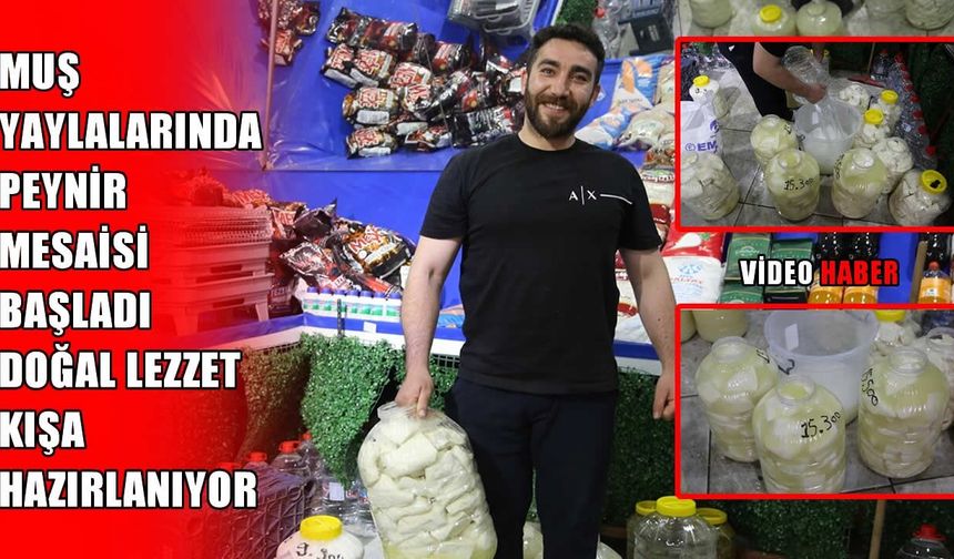 Muş yaylalarında peynir mesaisi başladı