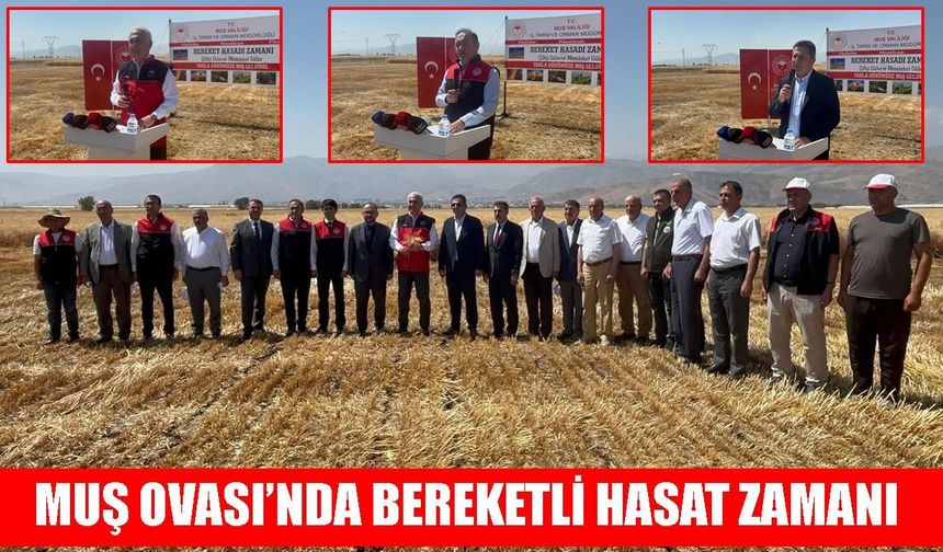 Muş Ovası'nda ‘Bereket Hasadı Zamanı’: 11 milyar liralık ekonomik katkı bekleniyor
