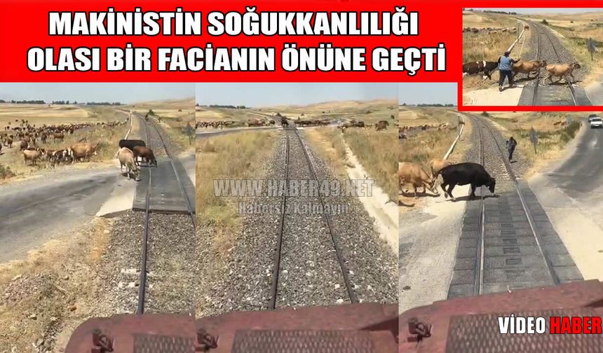 Muş Ovası'nda facianın eşiğinden dönüldü