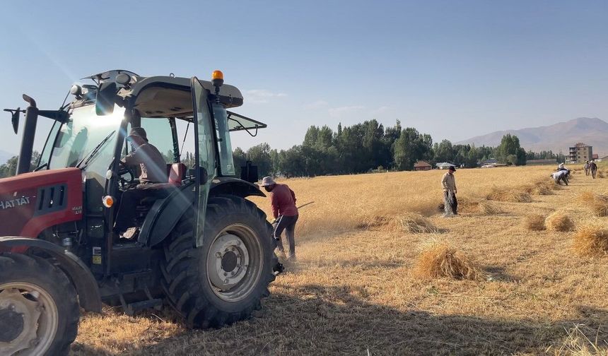 Yüksekova’da asırlık hasat geleneği yaşatılıyor