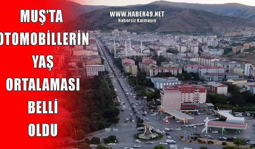 TÜİK açıkladı: Muş’un otomobil filosu birçok büyükşehri geride bıraktı