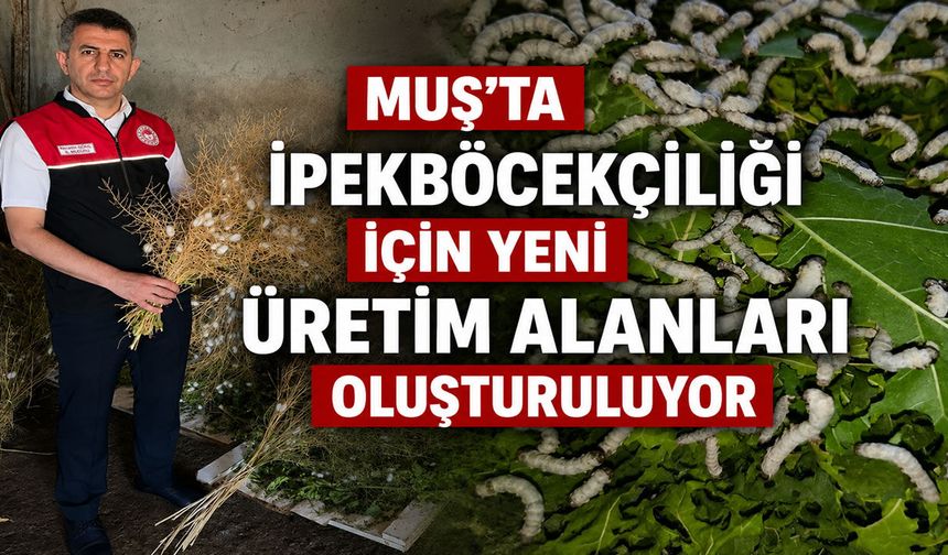 Muş’ta ipekböcekçiliği denemelerinde ilk sonuçlar yüz güldürdü