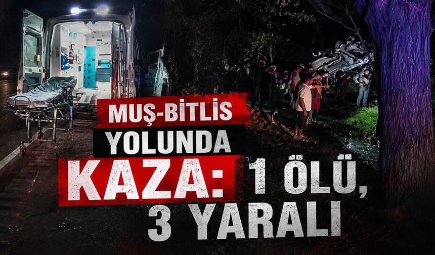 Muş-Bitlis karayolunda feci kaza: 1 ölü, 3 yaralı