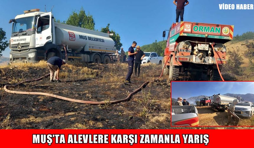 Muş'ta çıkan orman yangını kontrol altına alındı