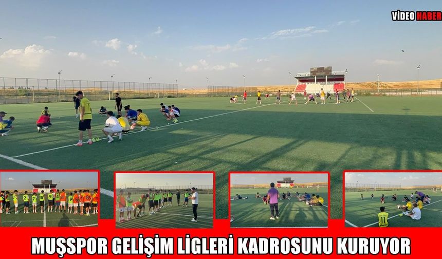 Muşspor'da Gelişim Ligleri için geri sayım: Son tur başladı