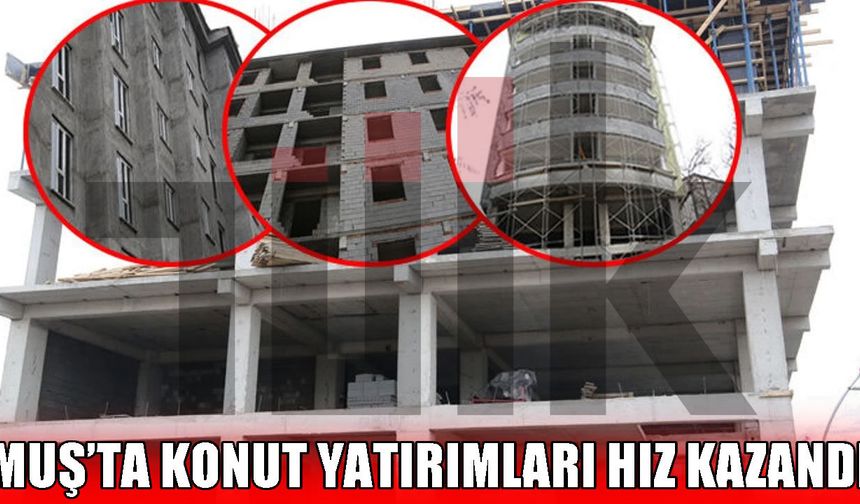 Muş’ta inşaat sektörü hareketlendi: Yapı ruhsatı verilen daire sayısı 2 bini aştı