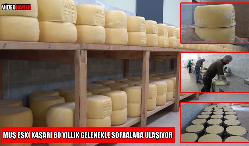 Muş’ta 60 yıllık lezzet yolculuğu: Eski Kaşar geleneği 3 kuşaktır sürüyor