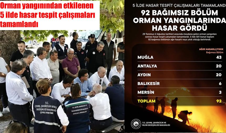 Orman yangınlarının bilançosu açıklandı: 5 ilde 92 bağımsız bölüm ağır hasarlı