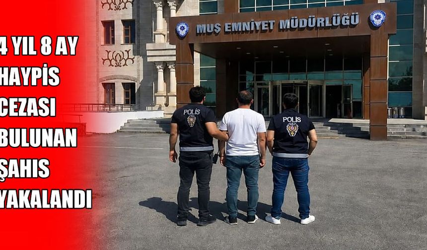 Muş’ta dolandırıcılık suçundan aranan hükümlü yakalandı