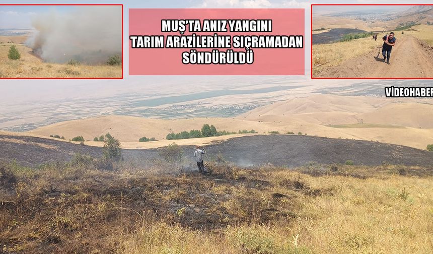 Muş'ta anız yangını korkuttu: Ekipler zamanında müdahale etti