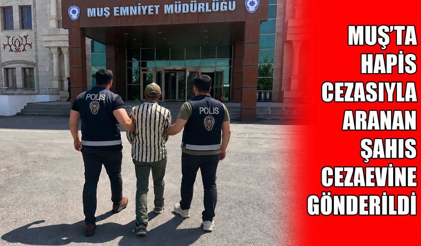 Muş’ta kesinleşmiş hapis cezasıyla aranan şahıs yakalandı