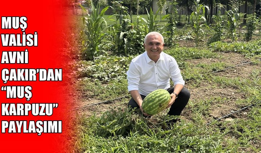 Muş Valisi Avni Çakır’dan 'Muş Karpuzu' paylaşımı: "Yemeyen kalmasın"