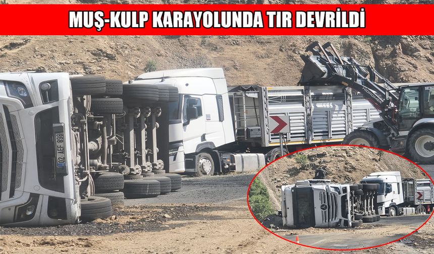 Muş-Kulp kara yolunda TIR devrildi: 1 yaralı
