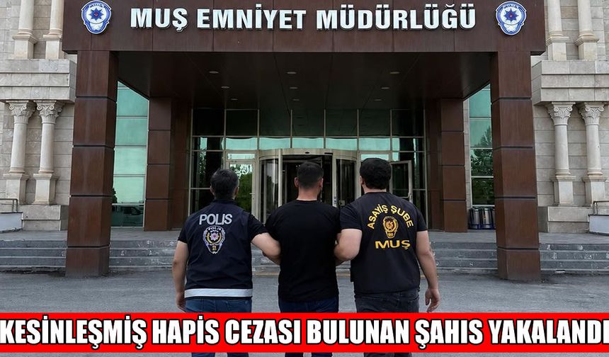 Muş'ta 10 yıl kesinleşmiş hapis cezası olan firari yakalandı