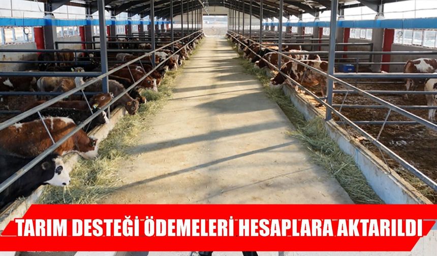 Muşlu üreticilere destek ödemesi hesaplara yatırıldı