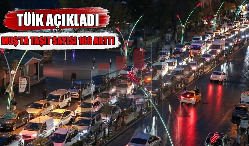 Muş’ta araç sayısı artıyor: İşte son rakamlar