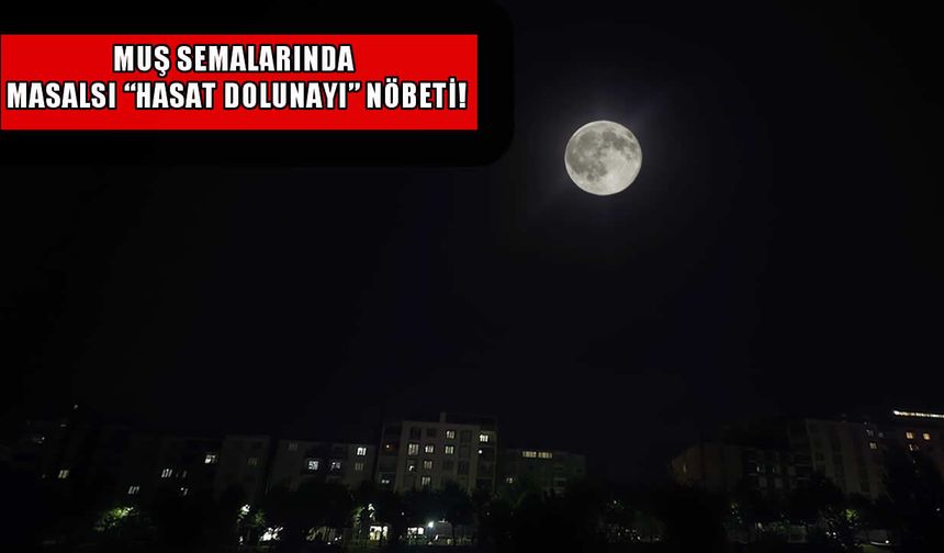 Hasat Dolunayı Muş semalarında görsel şölen sundu
