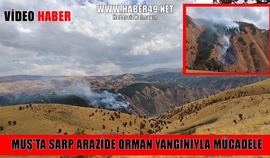 Muş’ta rüzgârın etkisiyle büyüyen orman yangınına zorlu müdahale