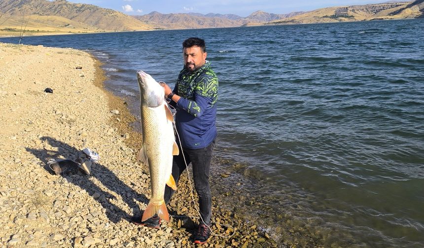 Keban Baraj Gölü’nde 30 kiloluk dev turna balığı