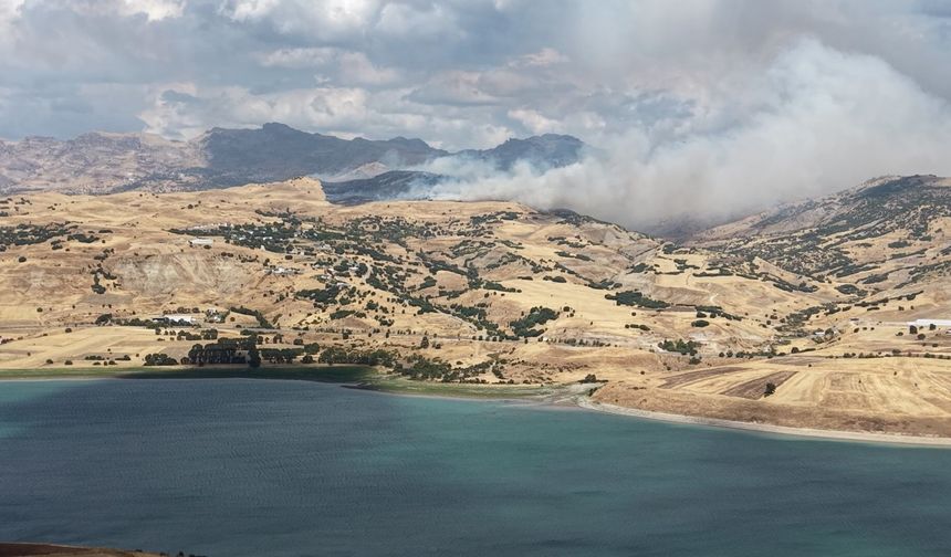 Tunceli'de kırsal alan yangını: Müdahale sürüyor