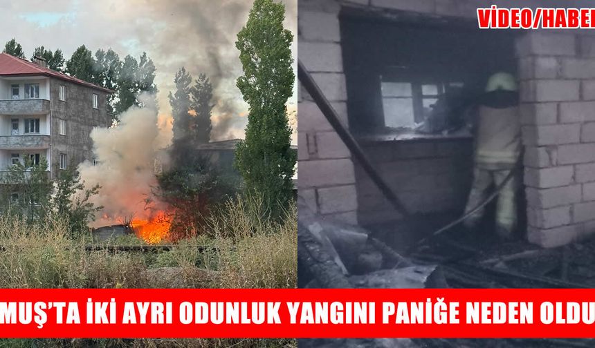 Muş'ta iki ayrı noktada odunluk yangını