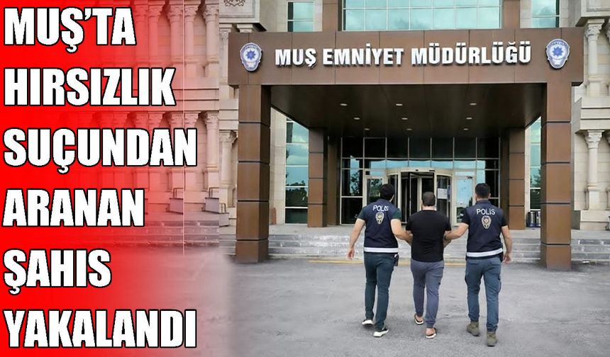 Muş’ta 4 yıl 9 ay hapis cezasıyla aranan şahıs yakalandı