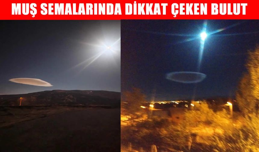 Muş semalarında merak uyandıran görüntü