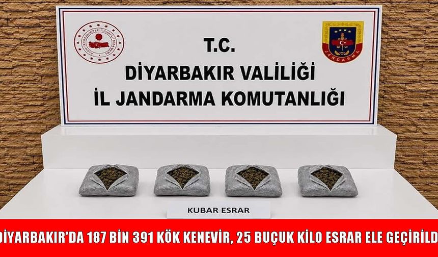 Diyarbakır’da operasyon: 187 bin 391 kök kenevir ve 25,6 kilo esrar ele geçirildi
