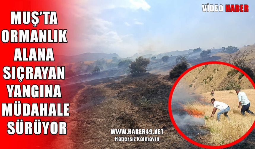 Muş’ta anız yangını ormana sıçradı: Çevre illerden takviye istendi