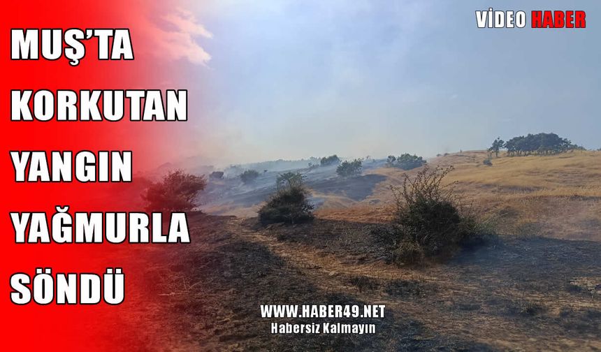 Muş’ta ormana sıçrayan anız yangını kontrol altında