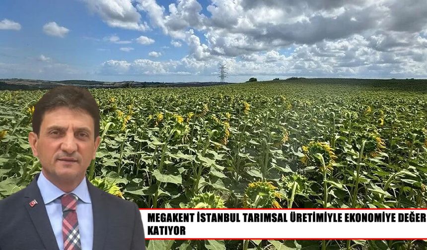 Megakent İstanbul'da tarımsal üretim gücü