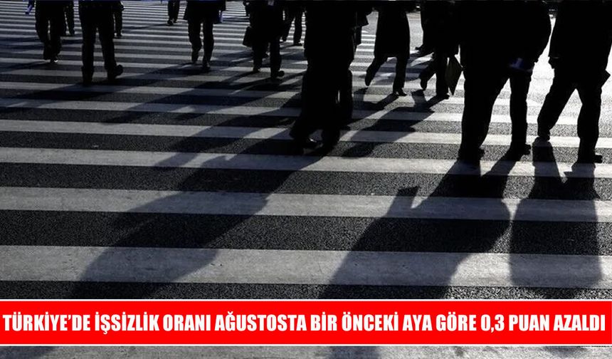 Türkiye’de işsizlik oranında ağustosta düşüş