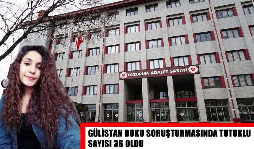 Gülistan Doku soruşturmasında 4 tutuklama daha