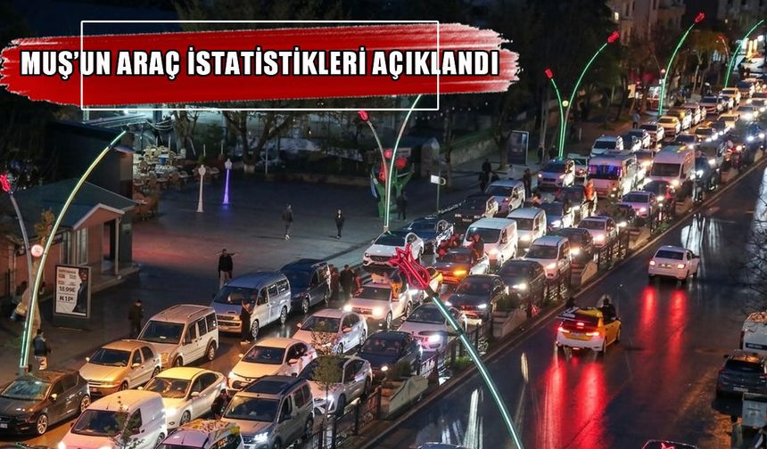 Muş’ta trafiğe kayıtlı araç sayısı artmaya devam ediyor
