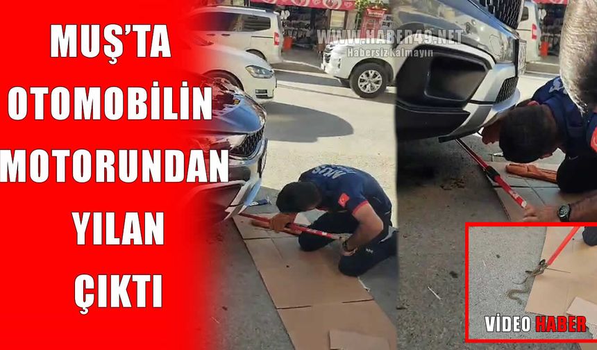 Muş’ta otomobilin motoruna giren yılanı itfaiye ekipleri çıkardı