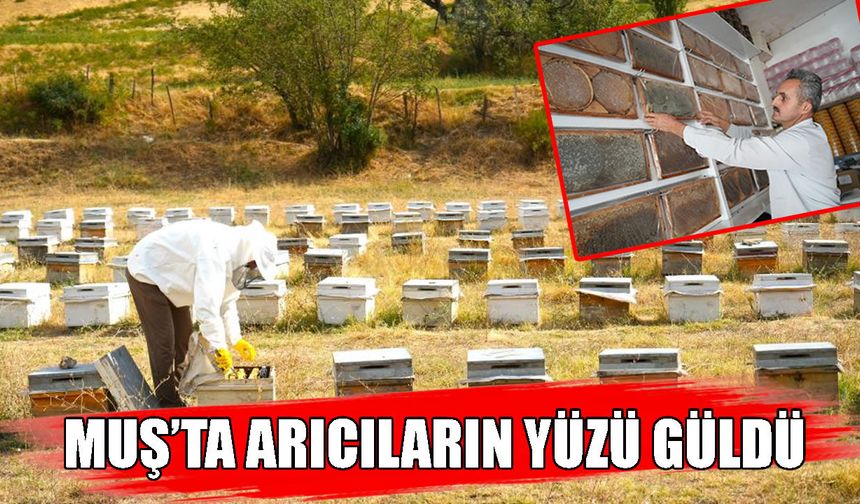 Muş'ta bal hasadı sona erdi: 290 bin kovandan 700 ton bal