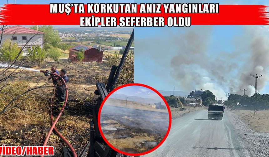 Muş’ta Muratgören ve İncebel’de anız yangını