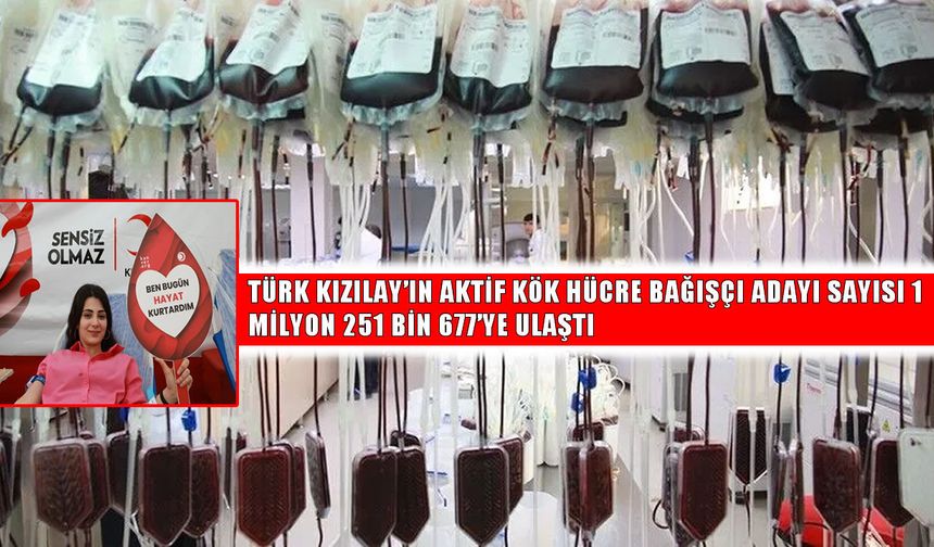 Kök hücre bağışında umut büyüyor: Bağışçı adayı sayısı 1,25 milyonu geçti