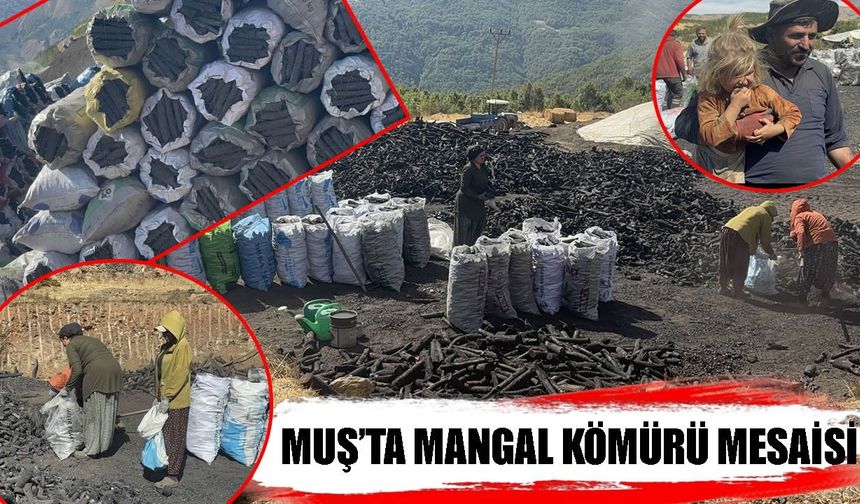 Muş’ta üretilen mangal kömürleri Türkiye'ye dağıtılıyor