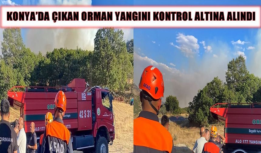 Konya’da ormanlık alanda çıkan yangın söndürüldü