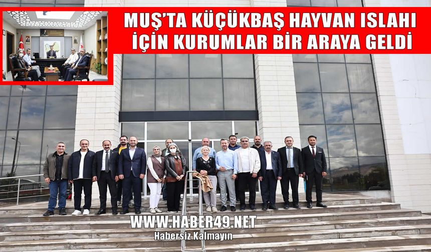 Muş’ta küçükbaş hayvan ıslahı projesi masaya yatırıldı