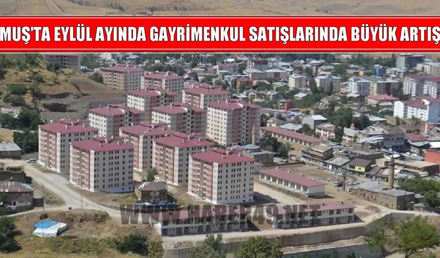 Muş’ta gayrimenkul satışlarında dikkat çeken artış