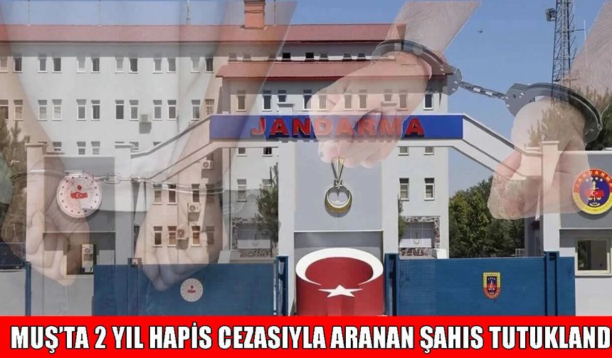 Muş’ta aranması bulunan şahıs jandarma operasyonuyla yakalandı