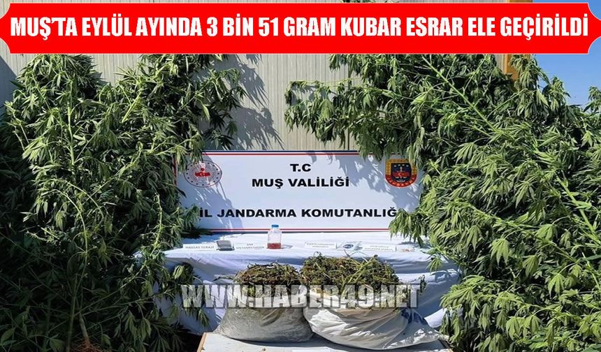 Muş'ta narkotik operasyonu: 3 tutuklama