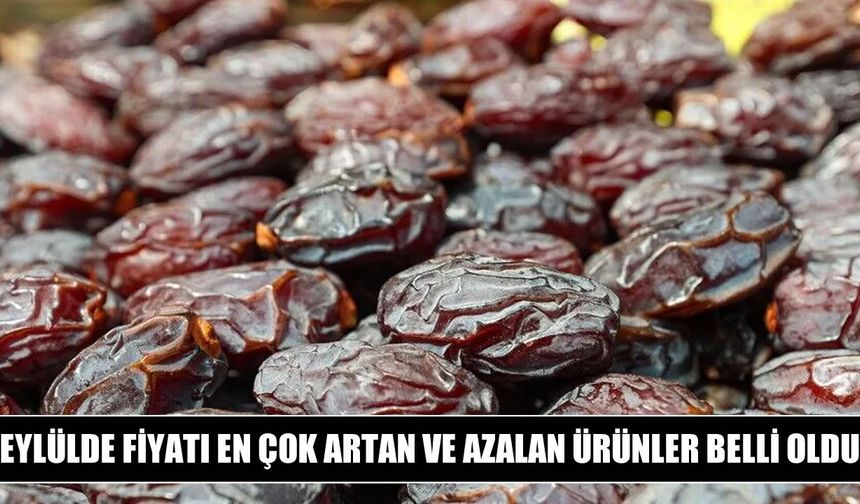 Eylülde fiyatı en çok artan ürün yükseköğretim oldu