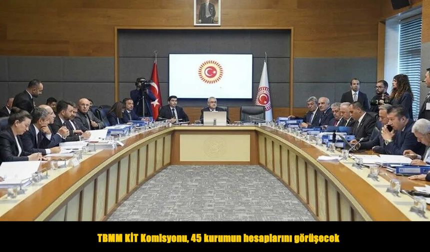 45 kurumun hesapları TBMM KİT Komisyonu’nda görüşülecek